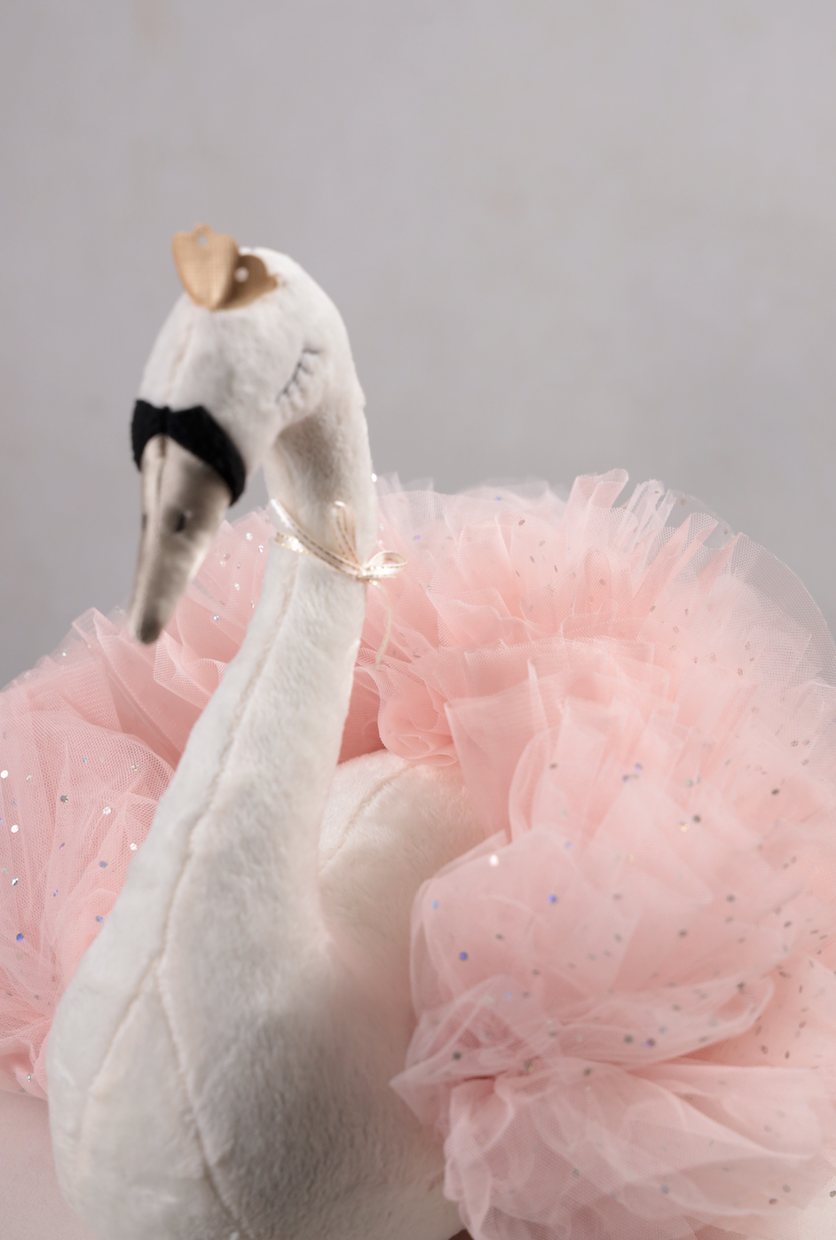 Swan Princess
