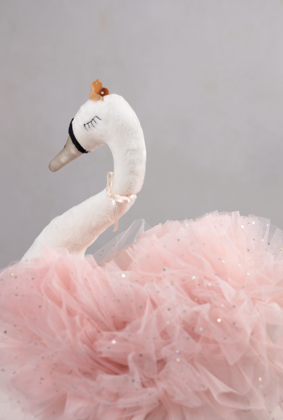 Swan Princess