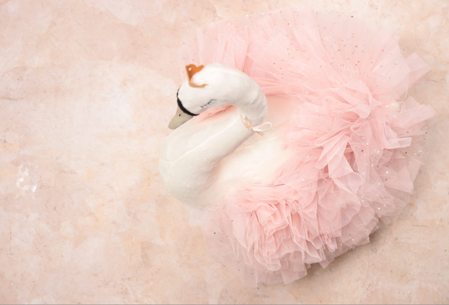 Swan Princess