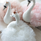 Swan Princess